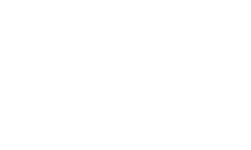 Leap Academy mark
